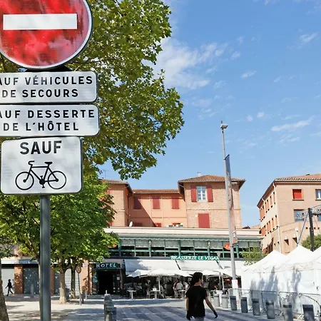 オテル デュ ヴィガン ホテル アルビ