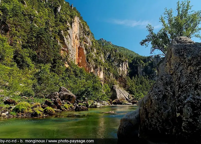 オテル デュ ヴィガン 3* アルビ