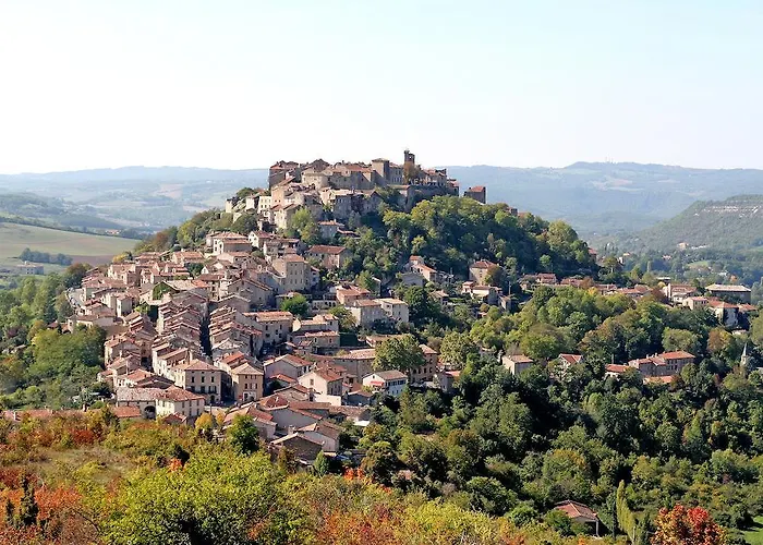 オテル デュ ヴィガン ホテル アルビ