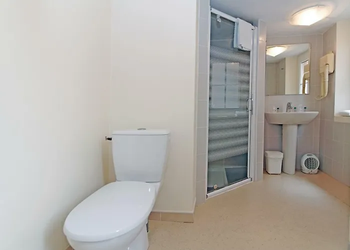 オテル デュ ヴィガン ホテル アルビ